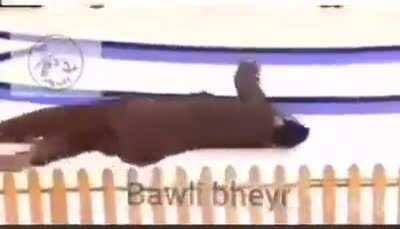 ‏پی ٹی آئی کا 