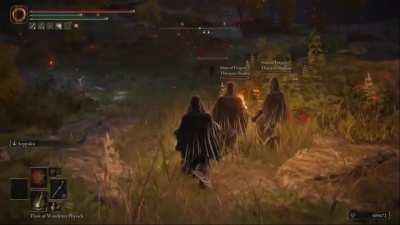 Giving Bloodborne players ptsd in Elden ring