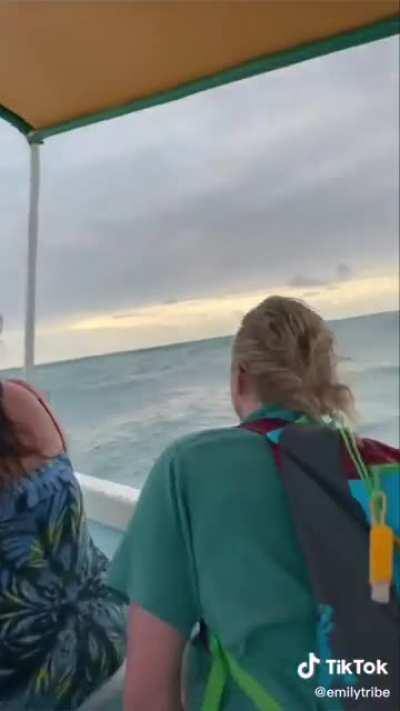 Vacation memories are made as the group almost capsizes at sea