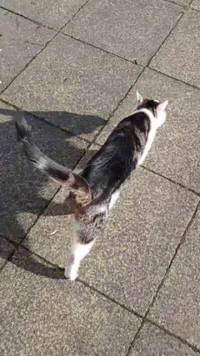 Met this beauty on a walk this morning and it was hard to say goodbye