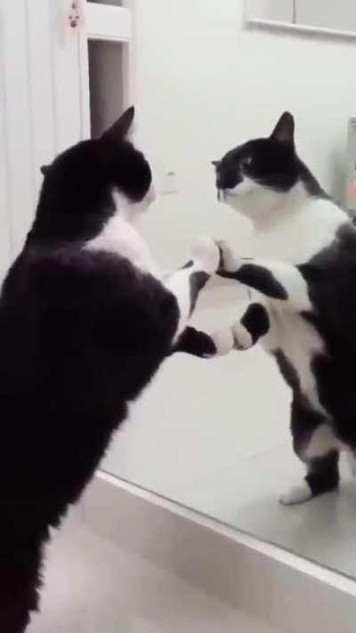 narcissus at the pond