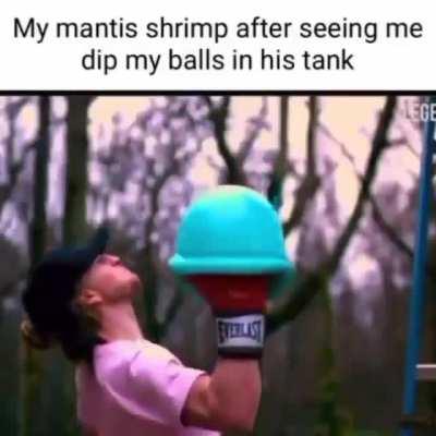 My balls got popped like a balloon 😢