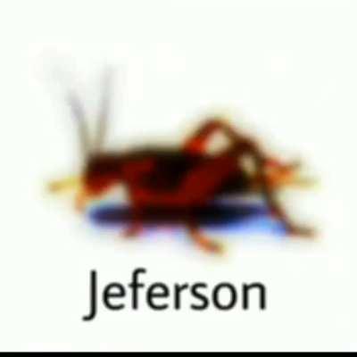 jeferson