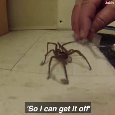 Understands that they're helping him