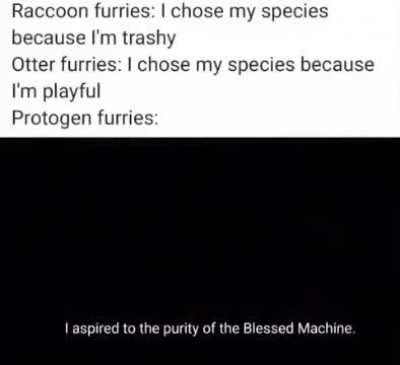 Furry⚙️irl