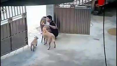 Have a Seat my Friend