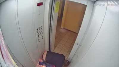 Gente.. que porra foi essa?