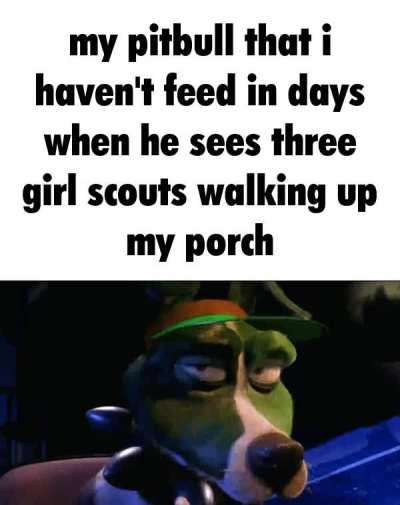 serves the deepstate gangstalkers right