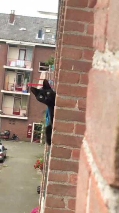 Uhhhhhh... I feel spied on