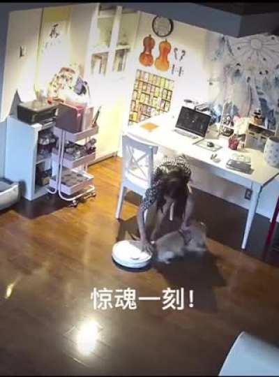 A new reason for doggo to fear the vacuum