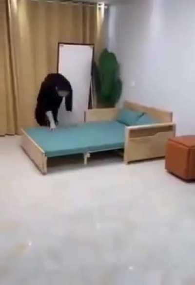 когда ты в своей квартире даже не планировал выёбываться, но странная мебель уже закуплена