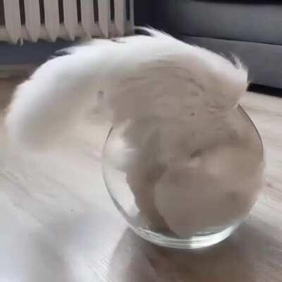 A bowl of milk
