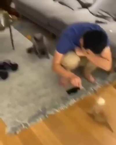 Ok fine, but you’re paying for this with no more houseplants