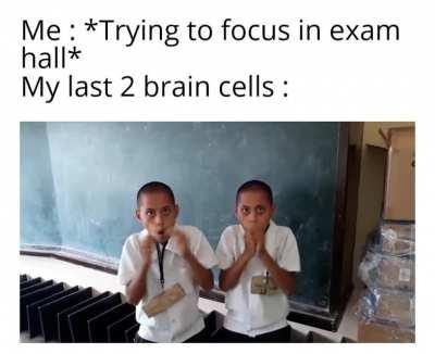 Atleast they're productive