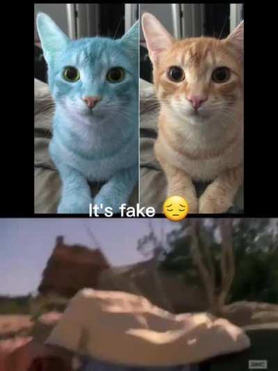 It's fake 😔
