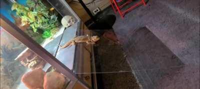 This is how he slides into your dms