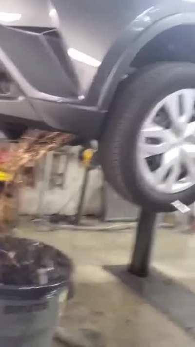 Opossum nest living in the car...