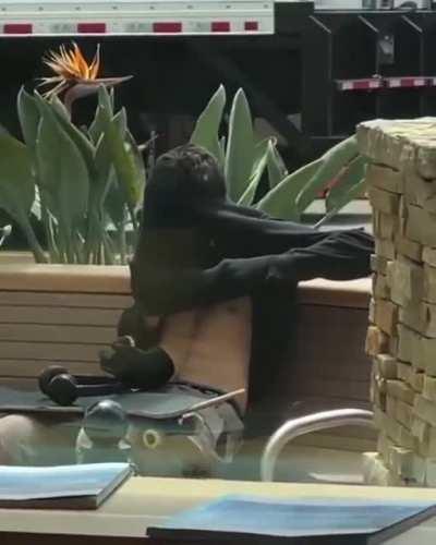 WCGW--Smoking Weed in Public