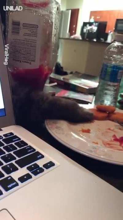 Why is my computer stealing from me?