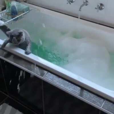 Kitty discovers soap suds won't support his weight