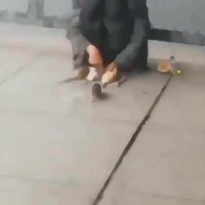 Took too much .... rat poison?