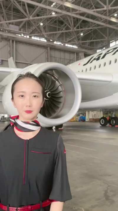 I'm crazy after this Japan Airlines ad.