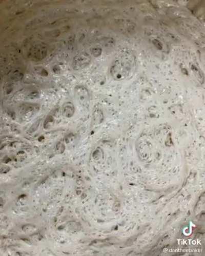 Bread.... It's alive!