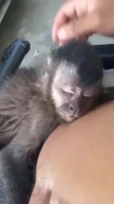 Me preocupe mucho por mi pana 😦