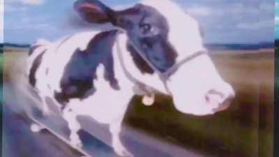 Atom Heart Mother Suite official music video with vine boom 😊