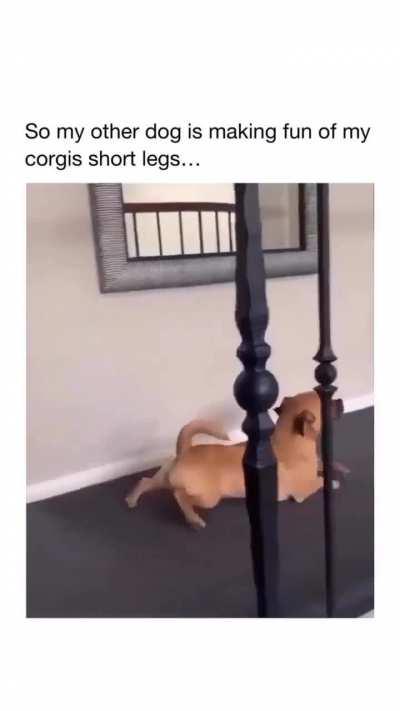 Too helpless with that mocking 🤣