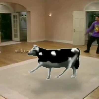 cow
