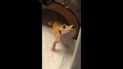 Look at that smile! :D