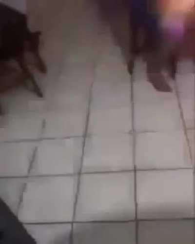 Ultimo meme de 2022 desse subreddit