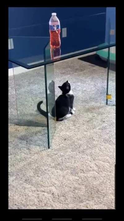 Talk about a major miscatculation!