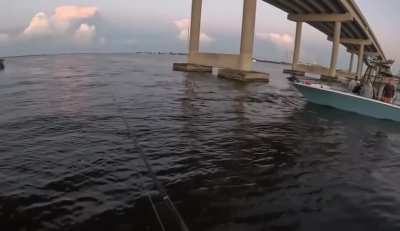 “Bro I’m sorry bro” Boater confronts teen on open water