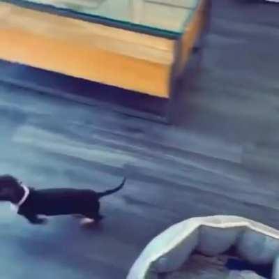 'Do it again! Do it again!' (via pennyandboo1)