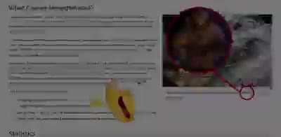 outer wolds refenrnece