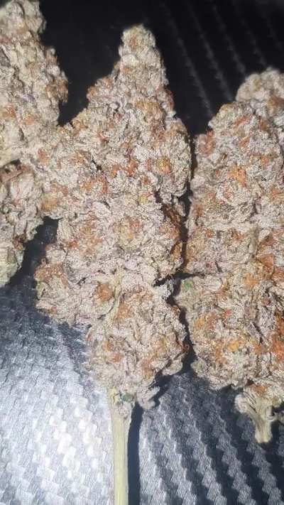 God weekend ents og god ryger