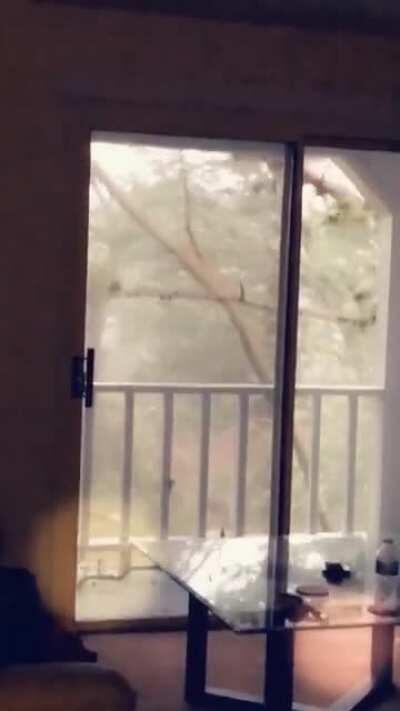 Windy day in South Bend