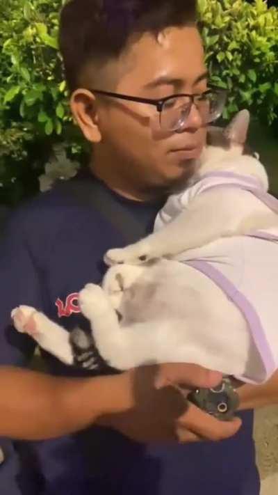 Don't touch my stuffed bunny