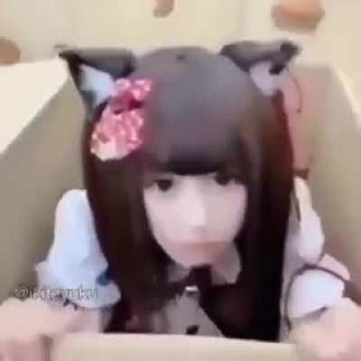 My friend send me this (credit ikiteyuku)