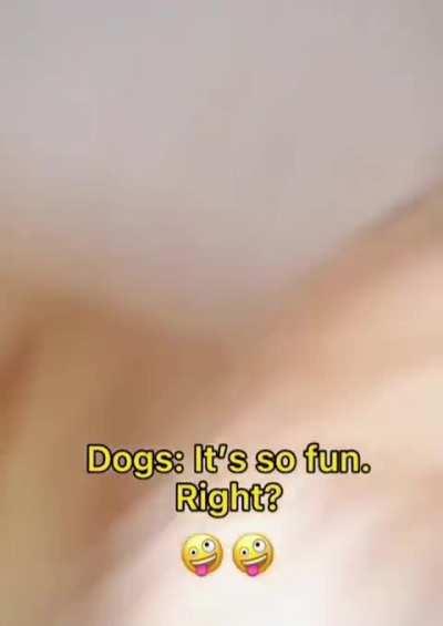 Good boy got no chill