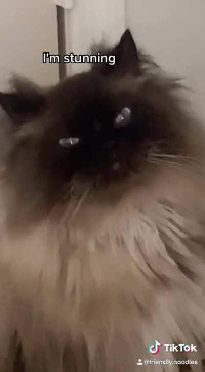 I'm very happy I made this video