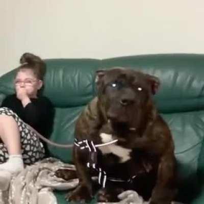 Orion, The hellhound