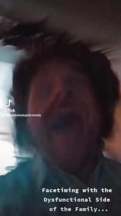 How it feels to facetime the dysfunctional side of the family... [OC]