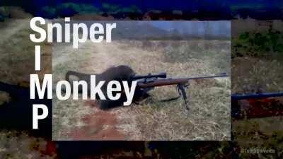 Creer o reventar gente.