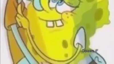 gayspiderbrothel - Video #2327