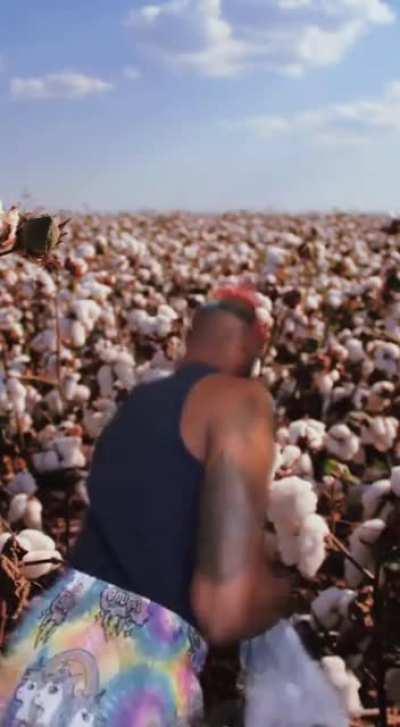 Bruh is not afraid to make some type of joke.