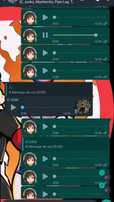 BASTA DE TANTA RAJAAAAAAA DE MONA CHINAA