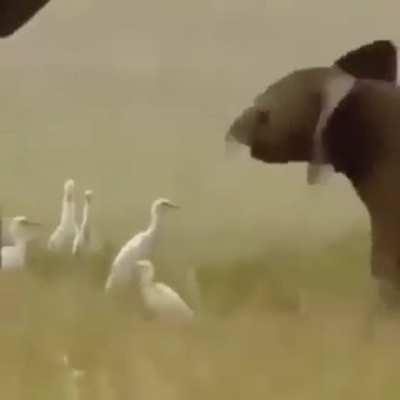 how i imagine i looked losing my virginity